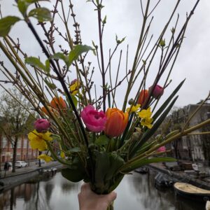 Boven de gracht van Amsterdam, een Bio voorjaarsboeket met veel takken, zoals Kornus en Forsitia; de eerste voorjaarsbloemen. Ranonkel, narcis en tulpen.