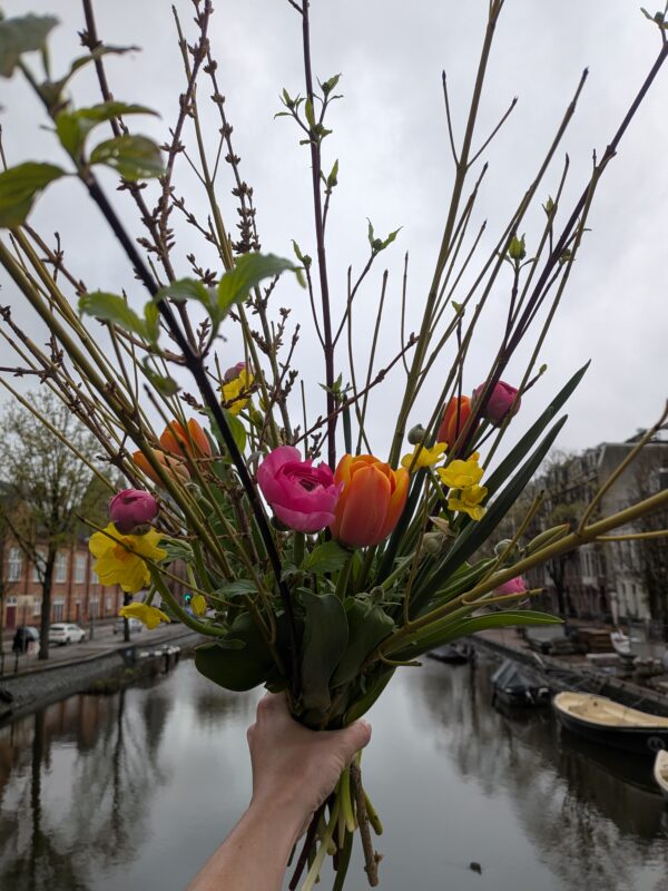Boven de gracht van Amsterdam, een Bio voorjaarsboeket met veel takken, zoals Kornus en Forsitia; de eerste voorjaarsbloemen. Ranonkel, narcis en tulpen.