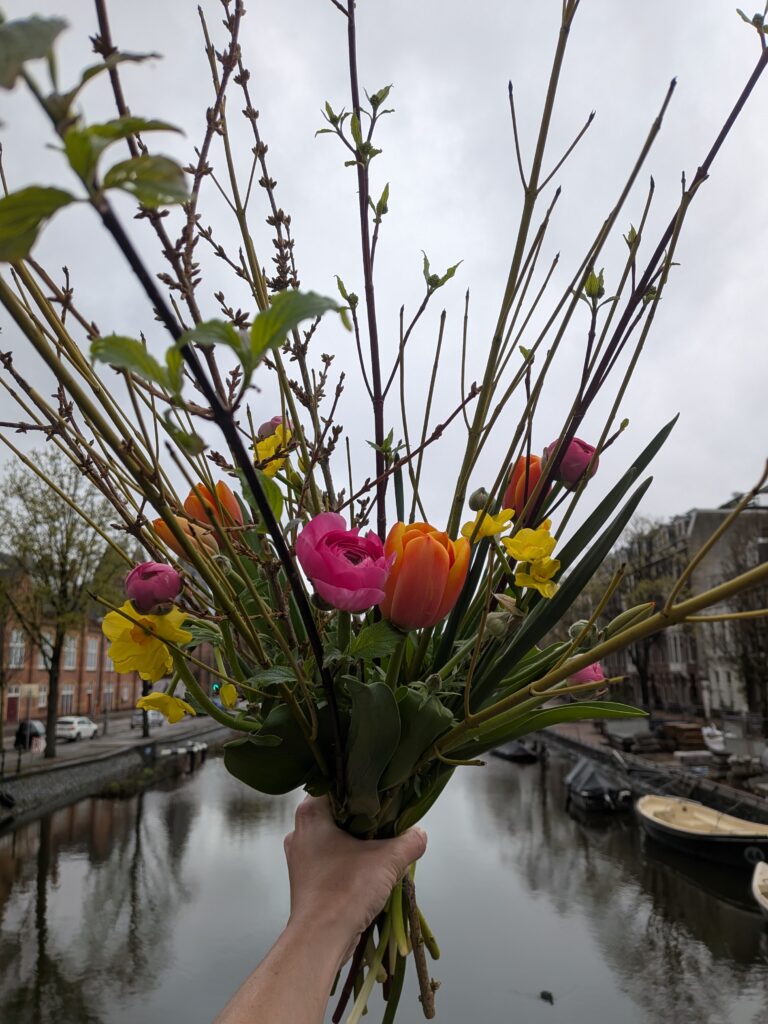 Boven de gracht van Amsterdam, een Bio voorjaarsboeket met veel takken, zoals Kornus en Forsitia; de eerste voorjaarsbloemen. Ranonkel, narcis en tulpen.