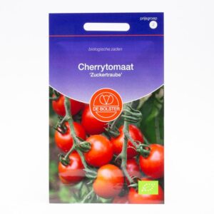 Cherrytomaat Zaailingen
